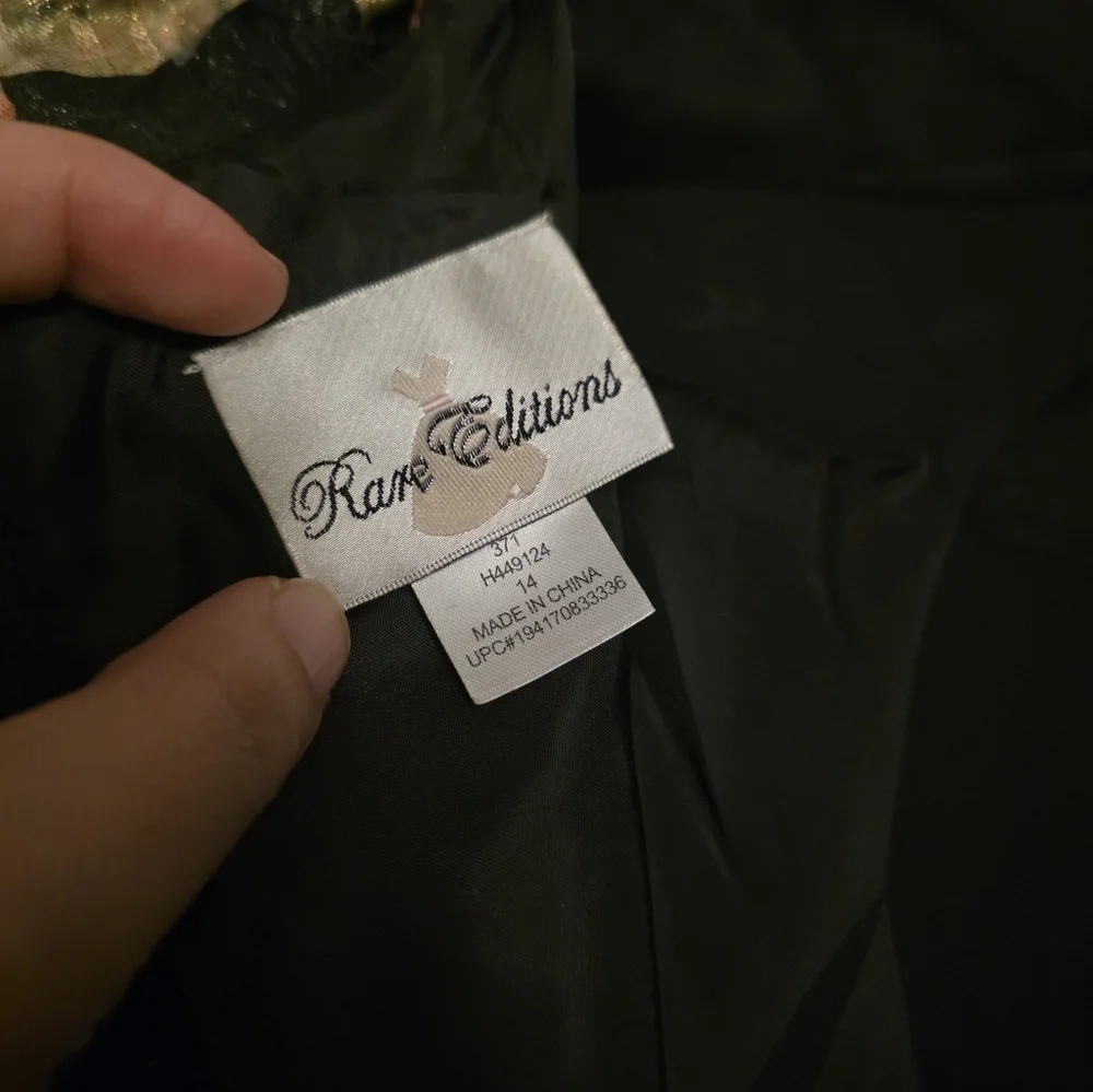 Rare Editions‎ Big Girls Floral Organza Dress Size 14